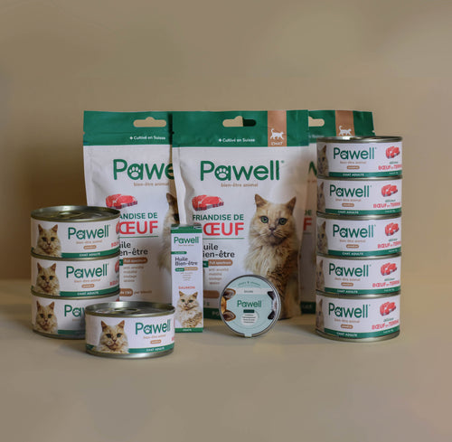 Huile pour chat  2,5% - Goût Saumon – Pawell